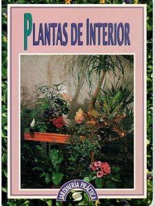 Plantas de interior