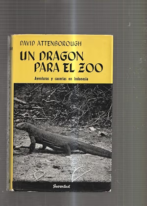 Un dragón para el zoo